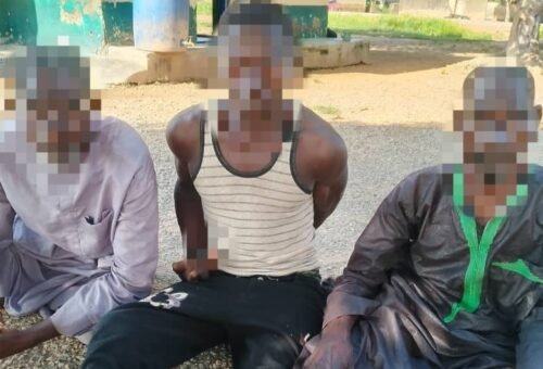 Man allegedly hired to kill 3 elderly women over witchcraft claims in Niger
